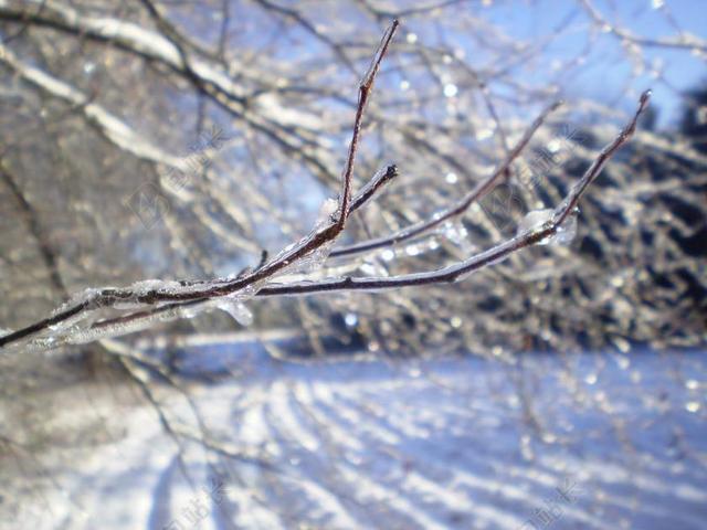 旅游清新雪地雪景背景图片