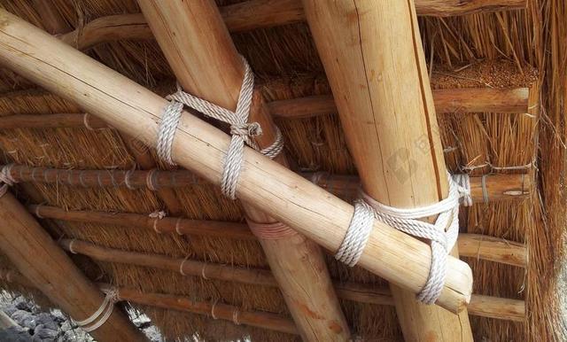 夏威夷 茅草的屋顶 架构 无钉的 绳 节 解冻 结 修复