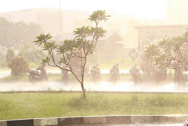 大雨 雨 晚上
