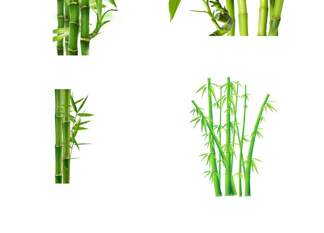 绿色竹子PS素材