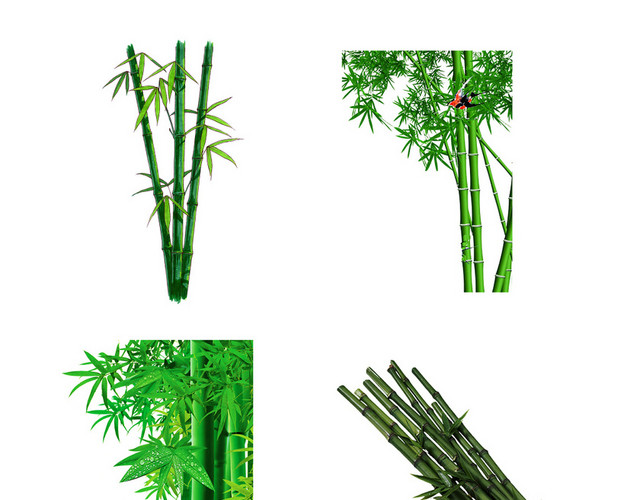 竹子植物PS素材
