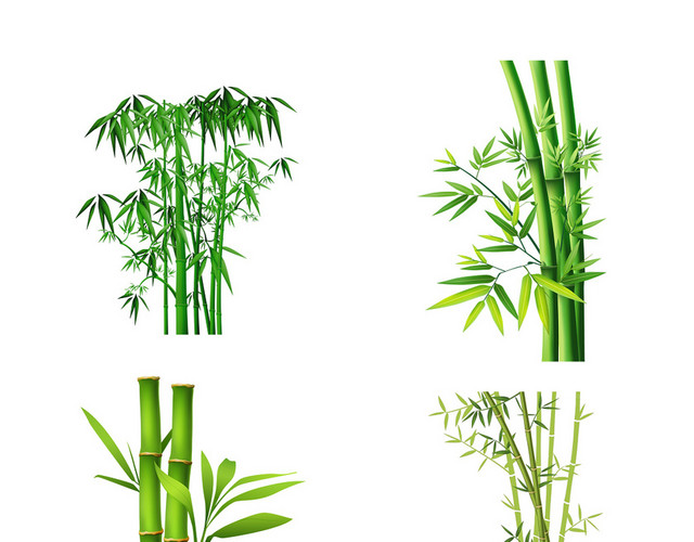 一丛竹子PS素材