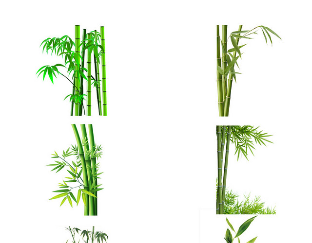 古风竹子PS素材