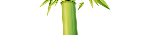 竹子植物透明素材