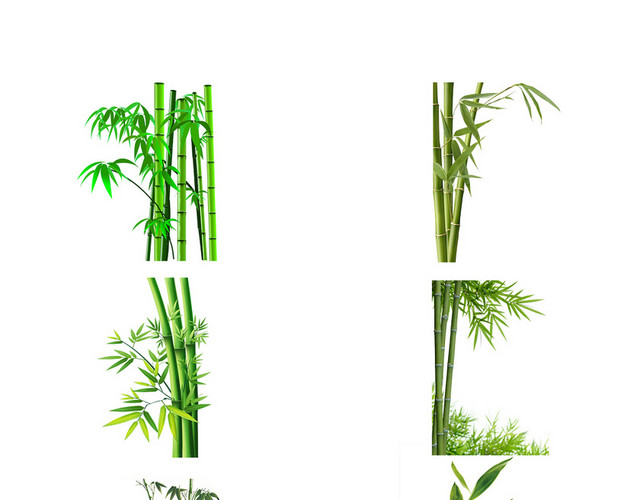 多种风格竹子元素PS素材