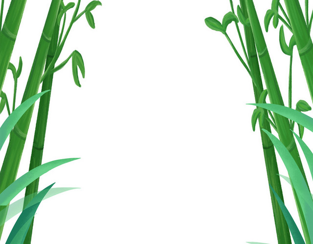 端午节竹子竹叶素材