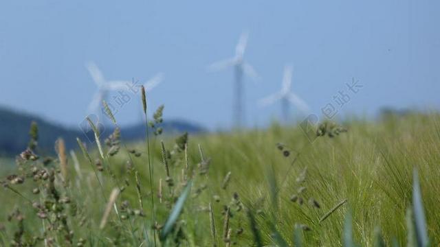风车  环境 风电 能源 天空 蓝色 风