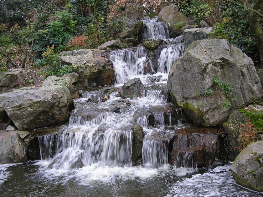 荷兰公园 日本花园 英格兰 伦敦 公园 旅行 花园 观光