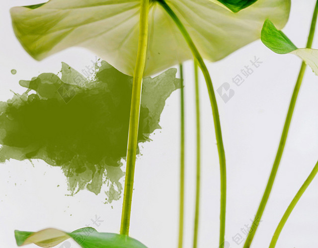 中国传统节日绿色荷叶荷枝24节气小暑海报背景