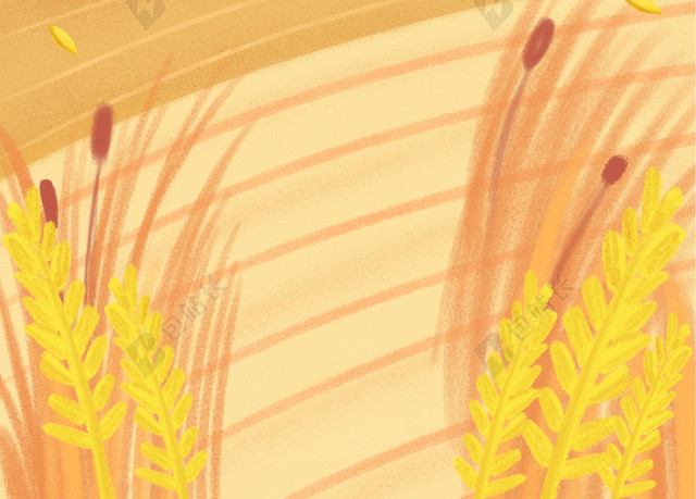 芒种麦田插画背景