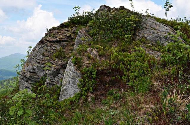 岩 山 景观 BIESZCZADY 性质 顶视图 波兰 视图