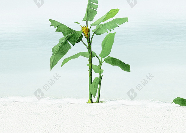 小清新绿树淡雅七月你好7月海报背景