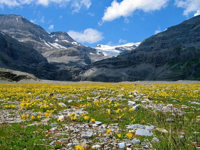 山花 山 高山 GEMMI