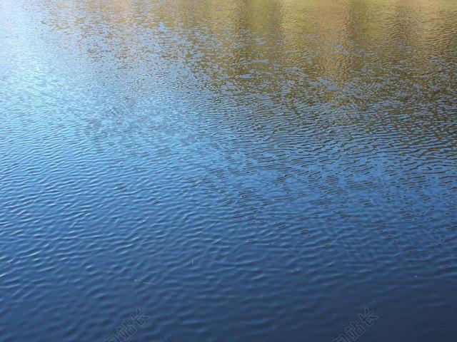 水 轻柔的风 湖 水面
