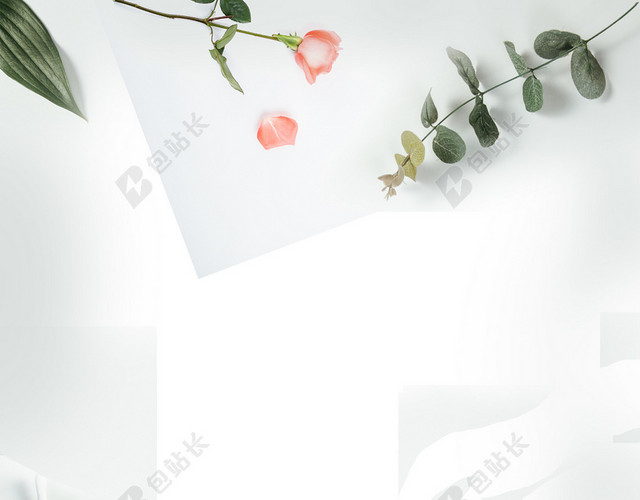 小清新白色玫瑰花绿叶七月你好7月海报背景