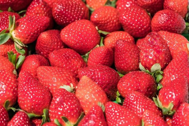草莓 水果 食品 健康 新鲜 红色 有机 甜 多汁 成熟