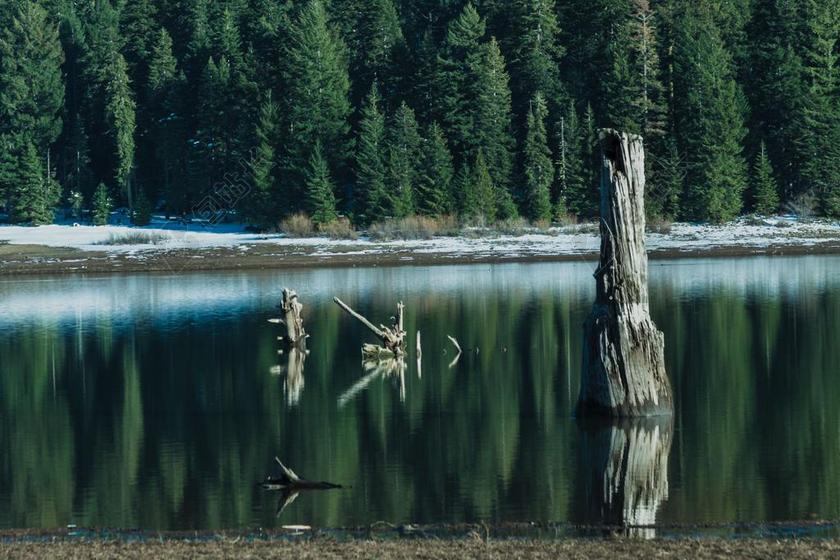 旅游自然岸边的水面倒影镜像背景图片