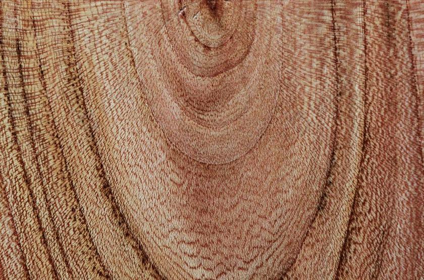 木 木纹 木结构 年轮 粮食 背景 纹理 木家具 性质