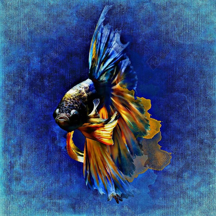 水族馆唯美游泳的鱼背景图片