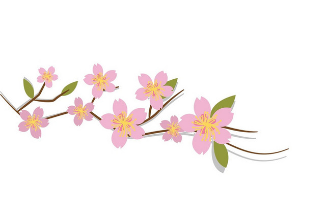 中秋节腊梅中秋传统文化素材