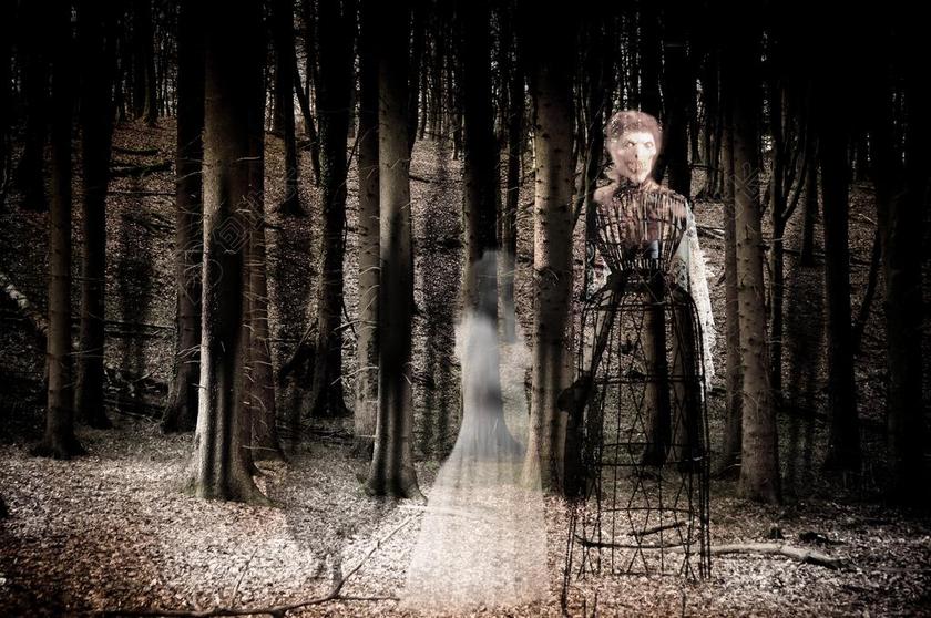 鬼 森林 精神 神秘 森林精灵 恐怖片 飞 出现 女子