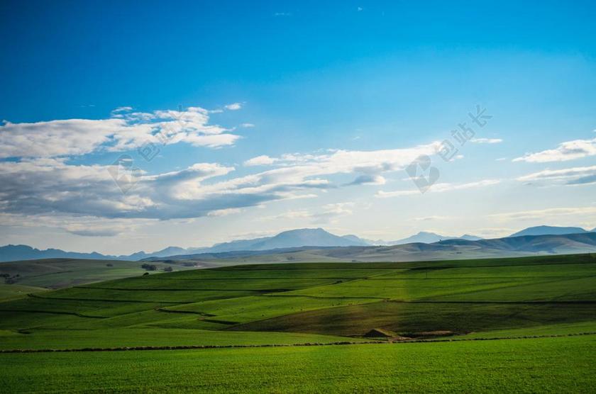牧场 字段 景观 草 云 绿色 蓝色 自然 春 环境