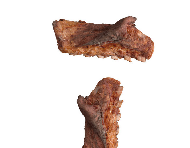 食物肉素材猪肉熏肉