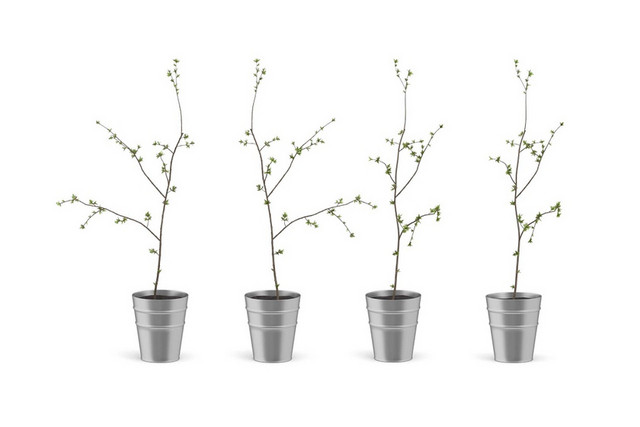 植物简约家具装饰品素材