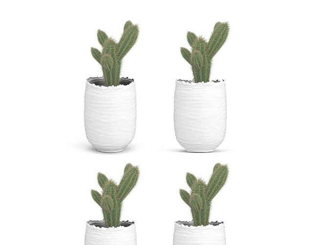 白色花盆里的仙人掌简约家具装饰品盆栽素材