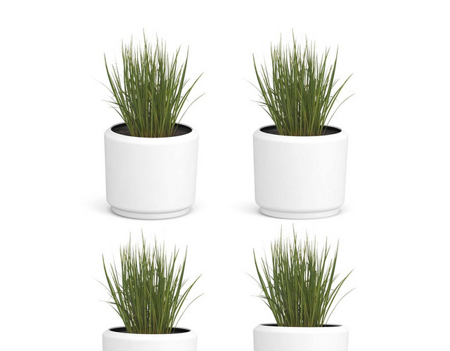 绿色植物简约家具装饰品盆栽素材