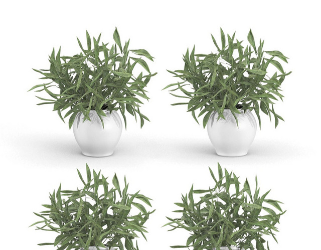 绿色植物简约家具装饰品素材