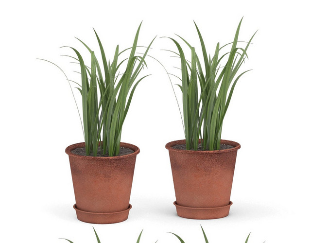 绿色植物简约家具装饰品素材