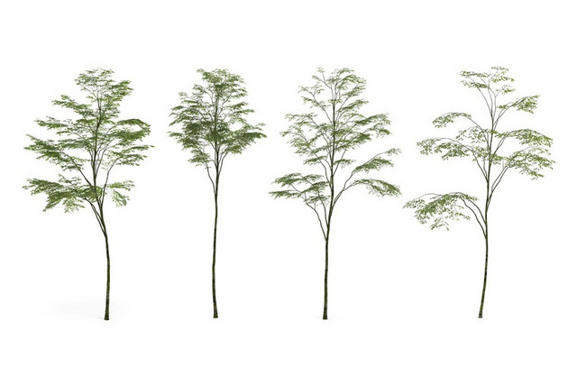 绿色简约植物素材