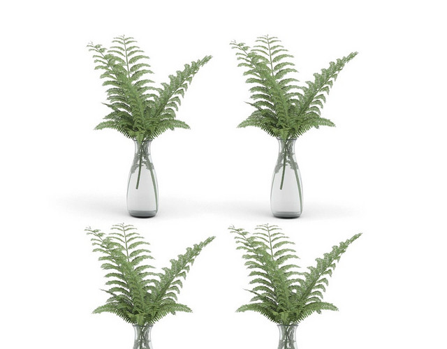 波斯草蕨草简约家具装饰品素材