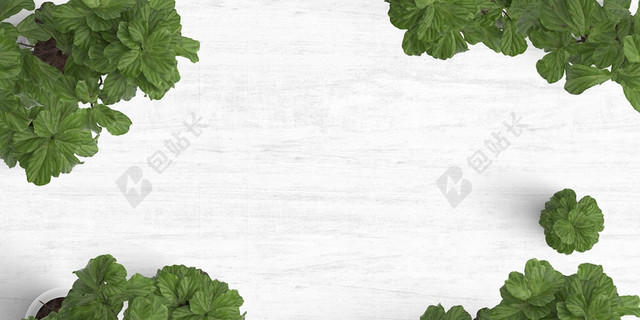 简约桌面植物摆放场景背景素材