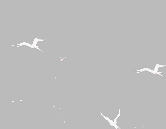 白色鸽子鸟类和平鸽PNG素材