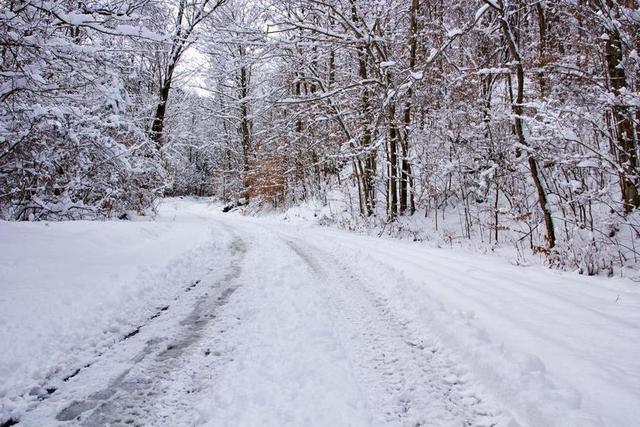 户外森林雪路雪景浪漫背景图片