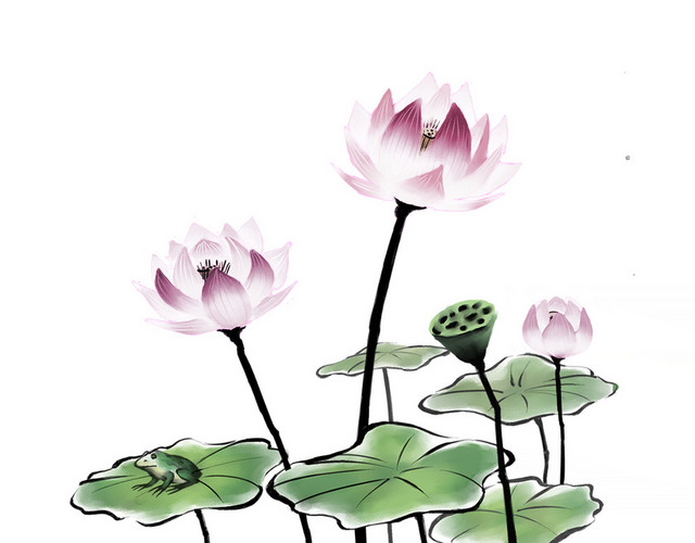 中国风夏季水墨荷花素材