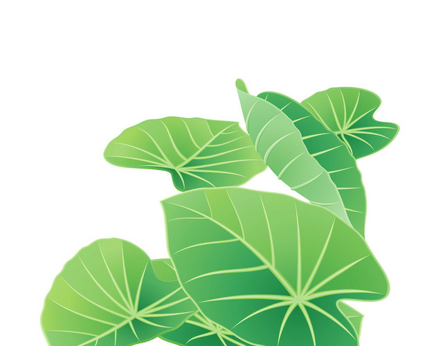 简约夏季荷叶荷花素材