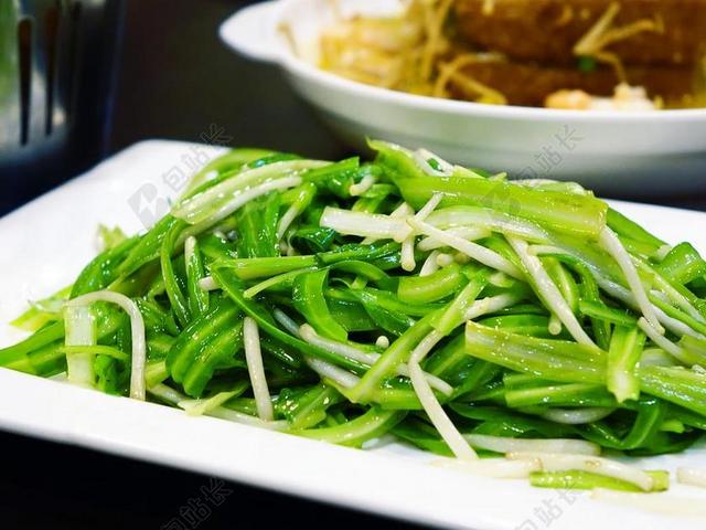 新鲜的绿色青菜背景图片