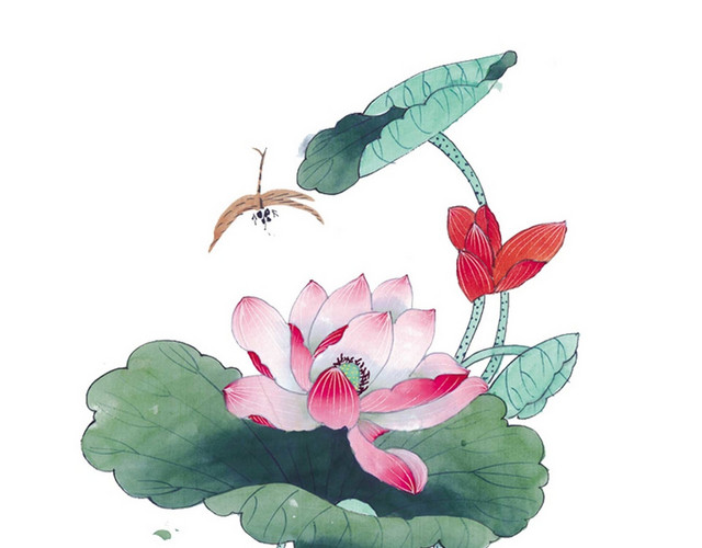 中国风夏天蜻蜓荷花素材