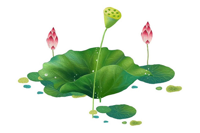 简约绿色荷花素材