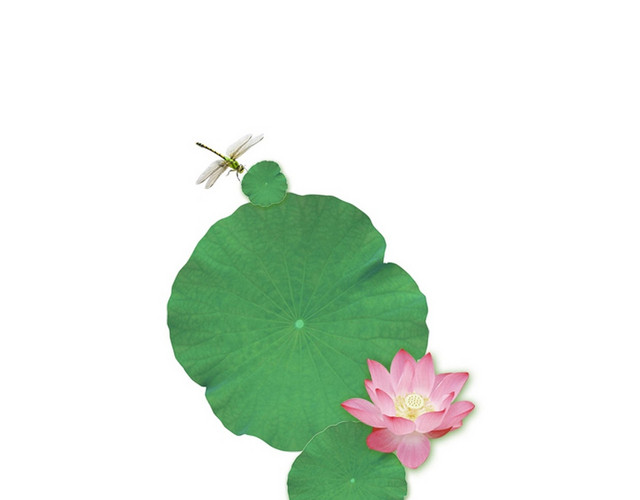 简约清新其他风格夏天大暑小暑蜻蜓荷花素材