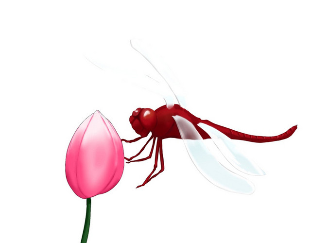 简约清新其他风格夏天大暑小暑蜻蜓素材