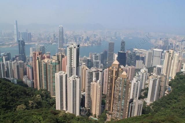 建筑现代远望的都市高楼建筑群城市景观背景图片