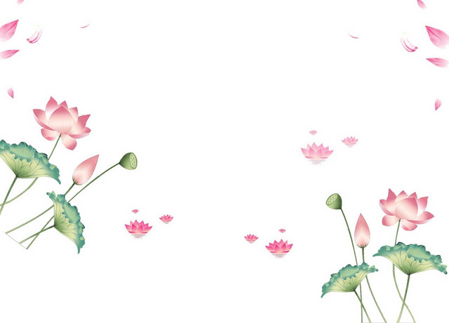 清新简约其他风格夏天大暑小暑荷花素材
