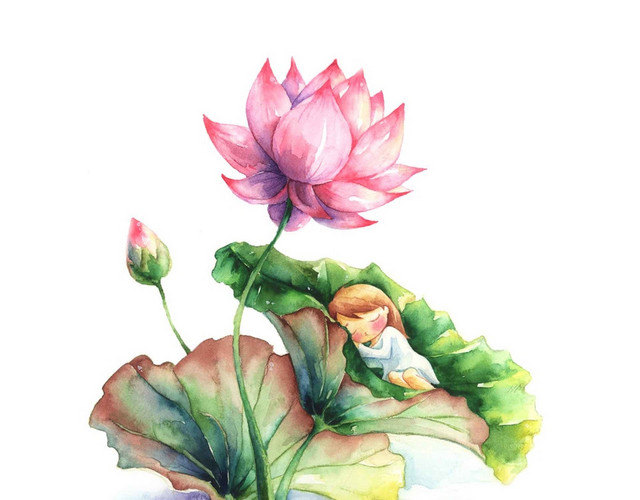 手绘风格夏季水墨荷花素材