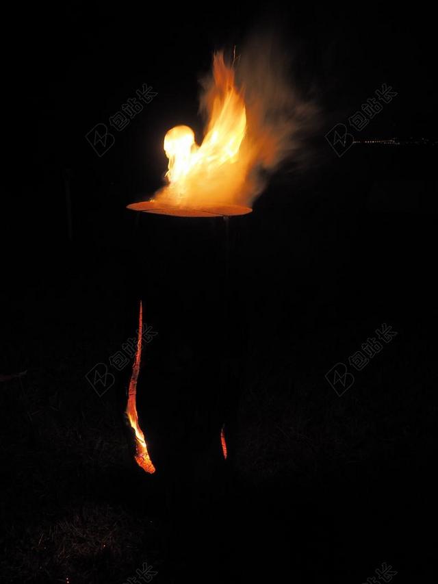 瑞典火 芬兰人蜡烛 瑞典火炬 热日志 西伯利亚火炬树 火炬树