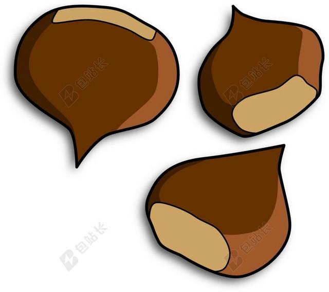 栗子 CONKER 坚果 种子