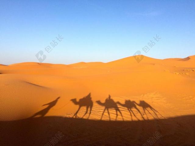 撒哈拉沙漠 沙 自然 沙漠 干 非洲 旅行 热 骆驼